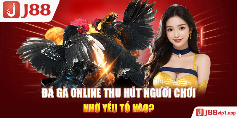 Đá gà online thu hút người chơi nhờ yếu tố nào? 